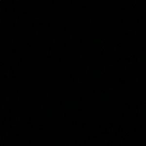 Meet your Posher, Dylan